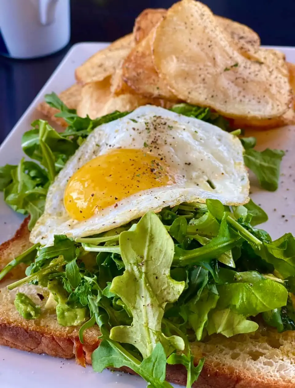 Catering Avocado Egg Toast with Greens Catering-style avocado toast topped with fresh greens and a sunny-side-up egg, served with toasted bread.